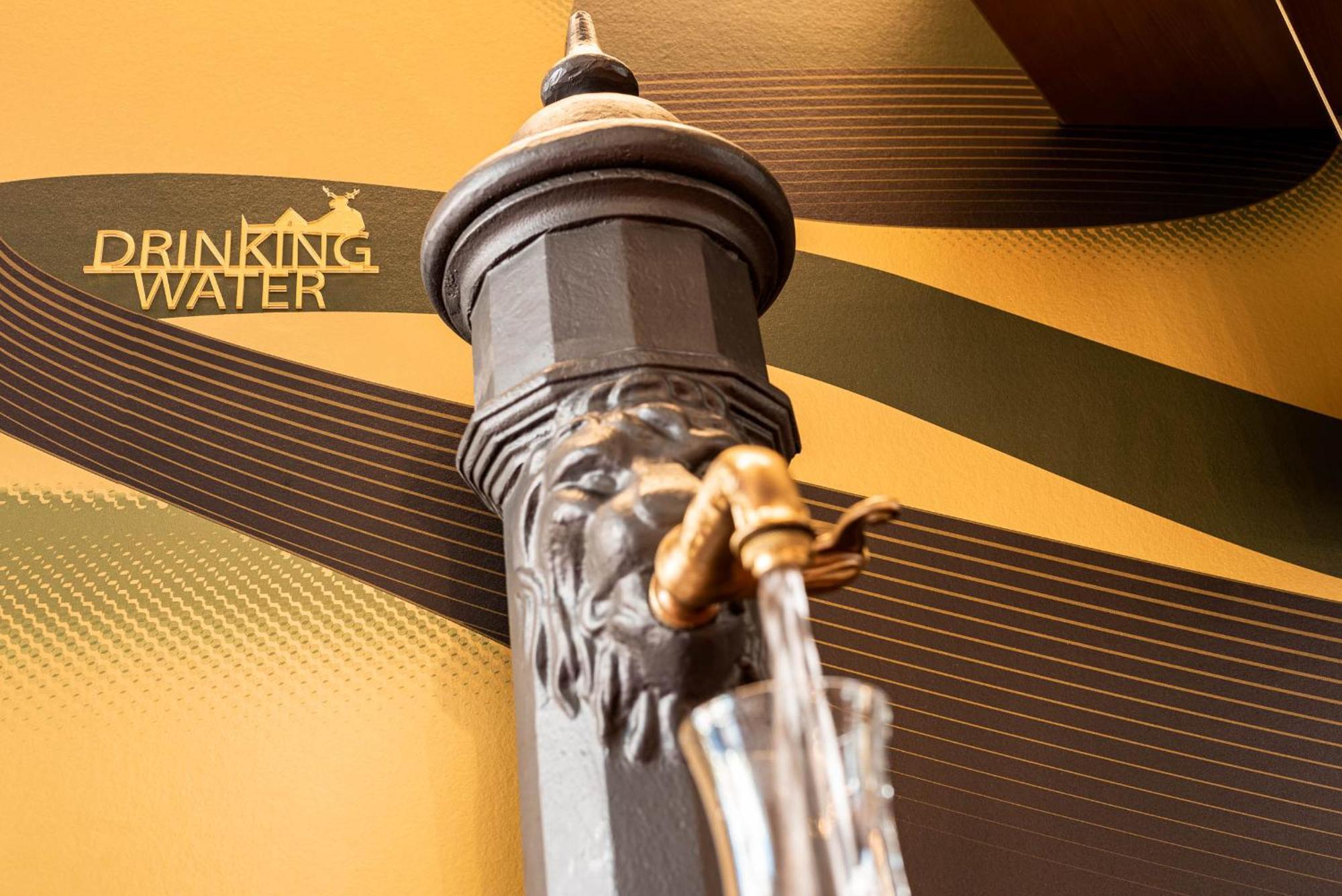 Hirschen Oberkirch - Design Boutique Hotel Екстер'єр фото